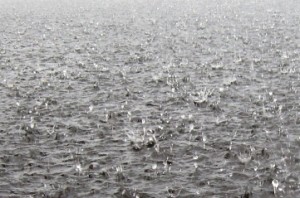 Tamil Nadu to receive rains for next 2 days: Met Centre