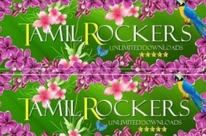 Tamilrockers removes film from site on request of young director