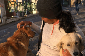 Theni forest fire: Death toll rises to 14