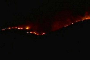Theni forest fire: Police take man into custody for inquiry