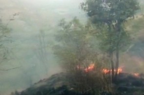 Theni forest fire: Woman dies 44 days after wedding