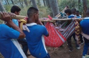 TN govt appoints IAS officer to investigate Theni forest fire