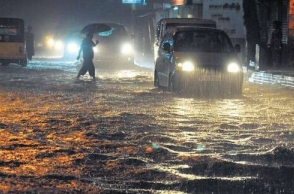 TN govt orders private companies to announce holiday for Friday