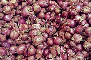 TN: Small onion price shoots up further