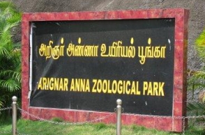 Vandaloor zoo gets ready for northeast monsoon