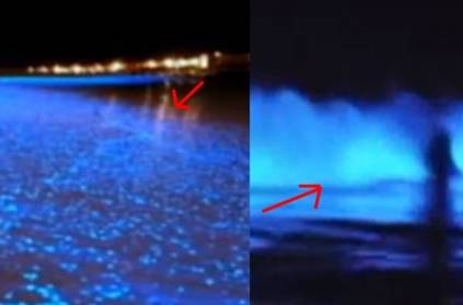 Why did the waves turn blue in Chennai beaches? Watch video