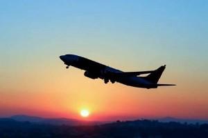 Woman Travelling To Chennai Dies Mid-Air Due To Cardiac Arrest   