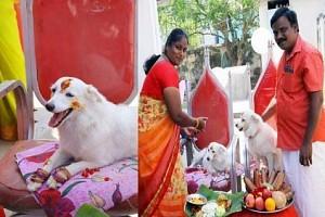 Tamil Nadu family performs baby shower for their pet dog