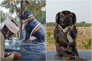 80-year-old man worships the idol of his dog - details!