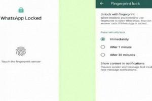 WhatsApp Chats Can Now Be Safe With Fingerprint Lock Option on Android Phones