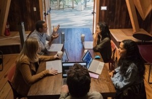 Microsoft builds treehouse offices to foster creativity and focus