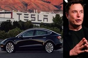 Tesla Might enter India next year with this car model, says Elon Musk!