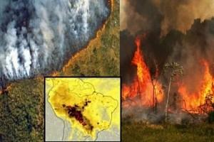 Amazon Rainforest On Fire! Smoke Turns Daytime To Darkness - Emergency Declared! Check Footage!