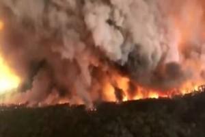 VIDEO: Australia is on Fire; 8000 Animals and 480 Million Birds Dead