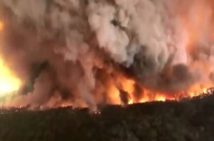 Australia bush fire video, heartbreaking pics rules twitter