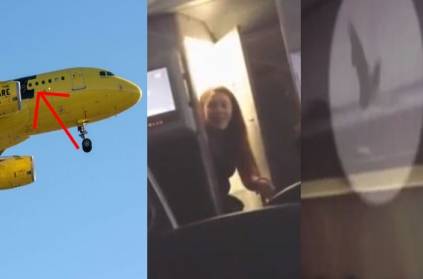 BAT scares the passengers into Spirit Airlines flight, US