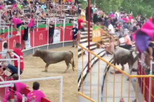 Disturbing Video: Bull Jumps Into Audience During Bullfighting Festival