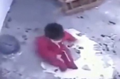Cat Saves Toddler from Falling Down Flight of Stairs Funny Video