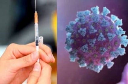 china coronavirus vaccine may be ready for public in november