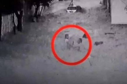 China man rescues two kids from floods, Watch Video