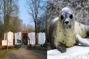 Corona Virus Pandemic Forces Zoo to Slaughter its own Animals to Feed Others!
