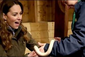 Video: Kate Middleton Comes Face To Face With A Snake, Holds It For The 'First Time'