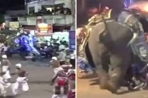 Disturbing Video: Elephant With Lights Attached To Head Trample Crowd In Parade