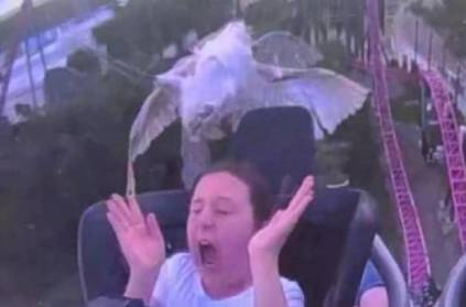 Girl got hit by large bird during roller coaster ride.