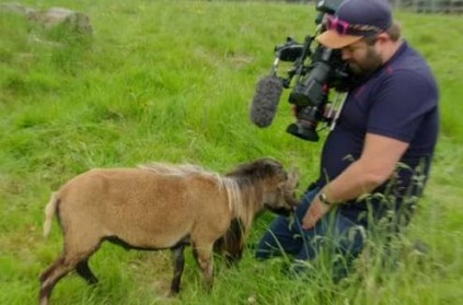 Goat Smacks BBC Cameraman In Viral Video, Internet In Splits   