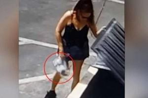 Video Viral: Woman throws Newborn Puppies into roadside garbage bin, arrested