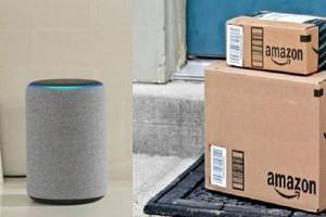 Kids use Alexa and order Rs.47,000 worth toys on Amazon!