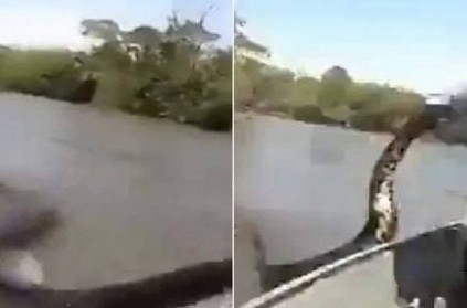 man pulls 17 foot anaconda from water old video goes viral watch