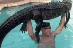 Photos Viral: Man Rescues 9-foot-long Alligator From Swimming Pool With Bare Hands 