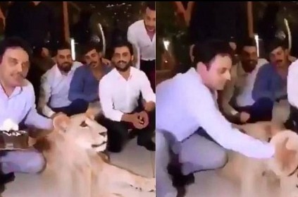 Man Smashes Cake On \'Pet\' Lion\'s Face, People call it Inhuman; Video V