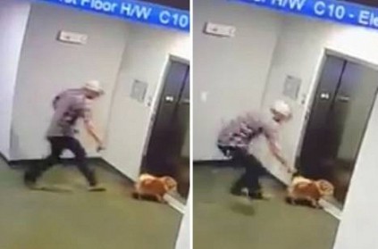 Man\'s quick thinking saves dog\'s life in elevator\'s doors Video 