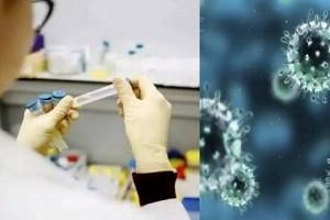 Oxford Vaccine Professor Warns of 'New Flu Pandemic'; 10 Times More Infectious Says Expert - Report!   