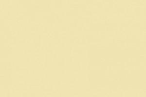 Disturbing Photo of father-child drowned in US border goes viral