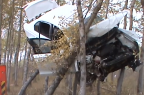 Speeding car ends up stuck in trees