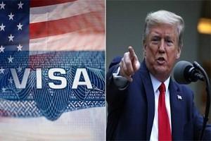 What's Trump's Real Motive behind Suspension of H-1B and Other Visas? - Details