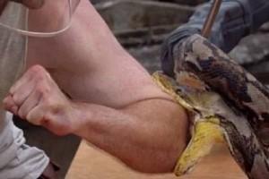 Disturbing Video: TV Star Allows 6-Foot Long Python To Bite, Leaves Him Bleeding!