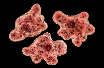 us florida hillsborough scientist warn brain eating amoeba nasal