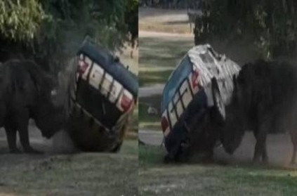 VIDEO: Enraged Rhinoceros Slams Car; Flips it Thrice.
