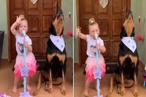 Dog and little girl are 'singing sisters' in concert - Watch!