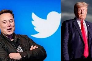 Will Twitter's ban on Donald Trump be lifted? Elon Musk has this to say!