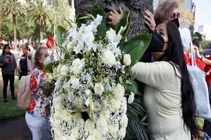 Mexico people bid farewell to a 100-year-old palm tree
