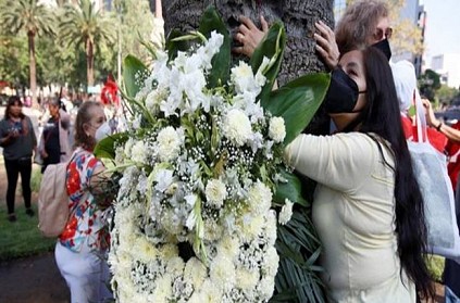 Mexico people bid farewell to a 100 year old palm tree