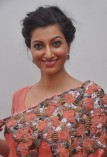 Hamsha Nandini (aka) Hamsha Nandini
