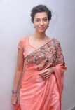 Hamsha Nandini (aka) Hamsha Nandini