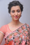 Hamsha Nandini (aka) Hamsha Nandini