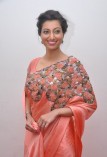 Hamsha Nandini (aka) Hamsha Nandini